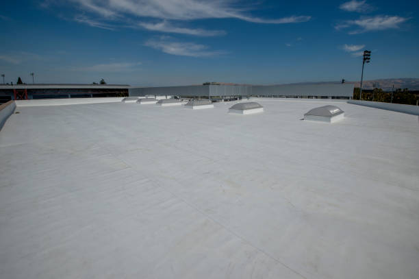 Gonzalez, FL Roofing Service Company