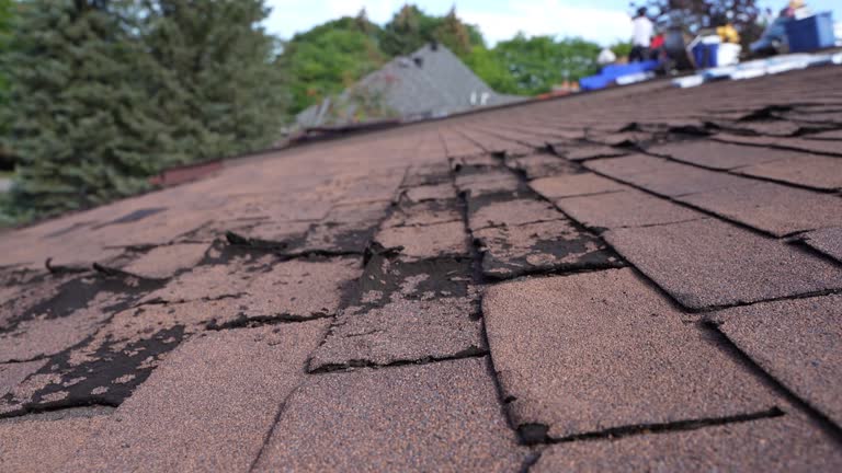 Best Roof Maintenance and Cleaning  in Gonzalez, FL