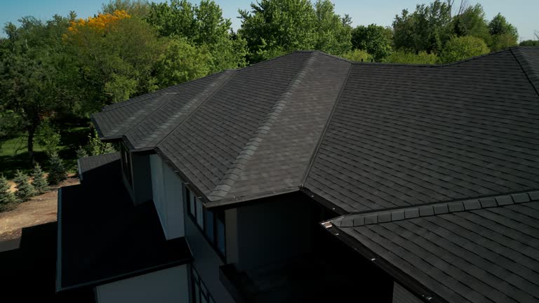 Best Skylight Installation and Repair  in Gonzalez, FL