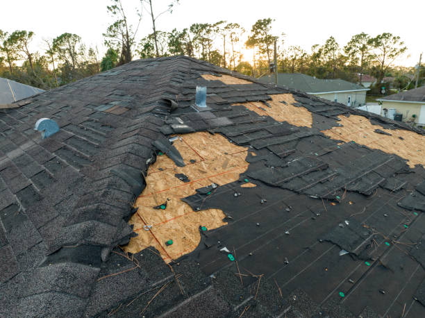 Best Roof Insulation Installation  in Gonzalez, FL
