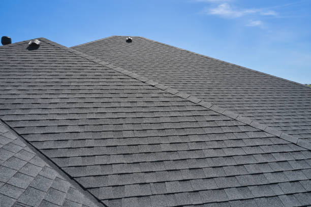 Best Sheet Metal Roofing  in Gonzalez, FL